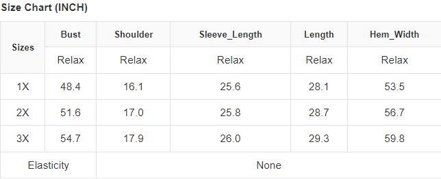 Pleated Bubble Sleeve Plus Size Blouse