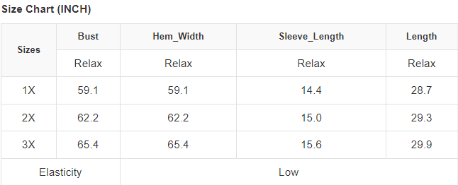 Plus Size Sequined V Neck Boxy Top