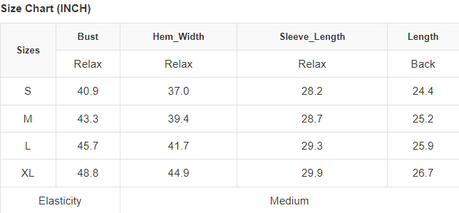 Leopard Striped Raglan Sleeve Pullover