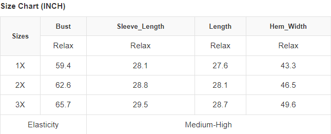 Colorblock Patchwork Dolman Sleeve Plus Size Top