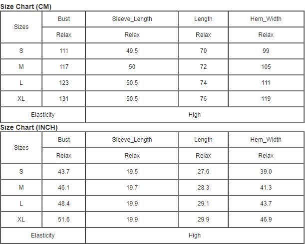 Casual Drop Shoulder Long Puff Sleeve Top