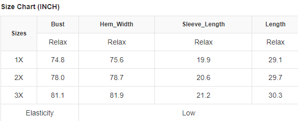 Plus Size Ruffled Batwing Sleeve V Neck Blouse