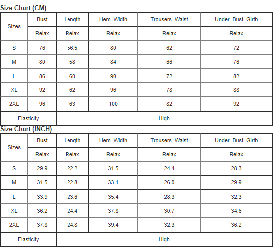 Mesh Insert Strappy Plunging 2pcs Tankini Swimsuit