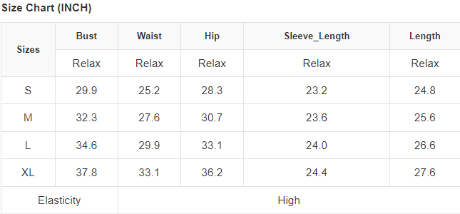 Rhinestone Mesh Long Sleeve Bodysuit