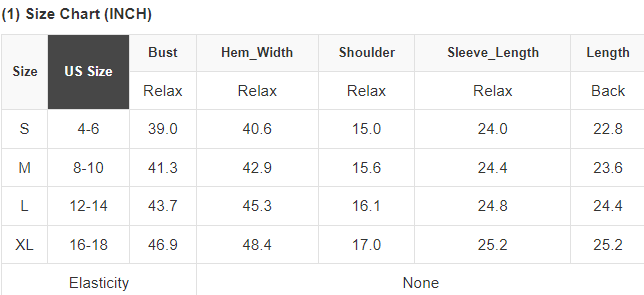 Denim Ruffled Casual Top