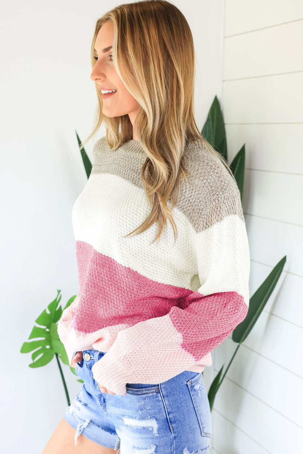 Rose Crew Neck Color Block Sweater