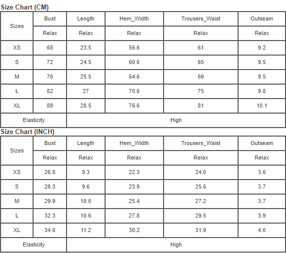 Black Rose Leopard Mesh Trim 2pcs Bikini Swimsuit