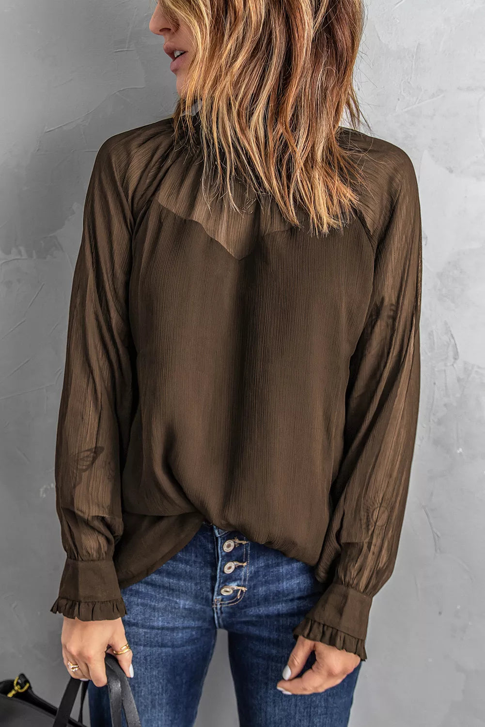 Sheer Ruffled Puff Sleeves Blouse