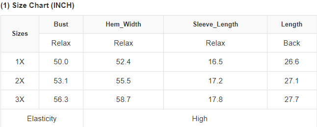 Sequin Chenille Star Pattern Plus Size Tee