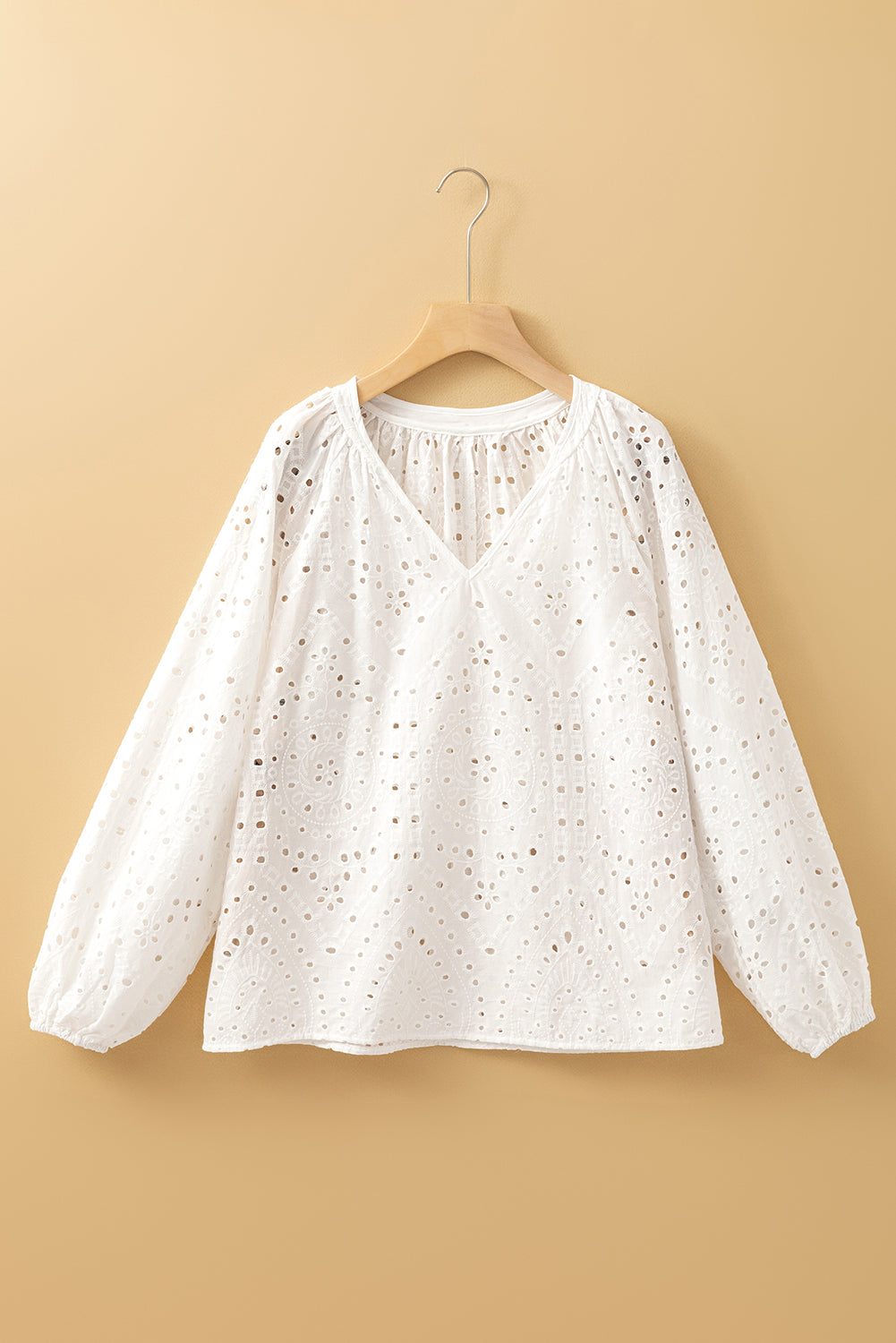 Eyelet Embroidered Puff Sleeve V Neck Blouse