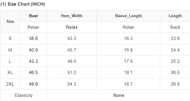 Floral Embroidered Ricrac Puff Sleeve Textured Blouse