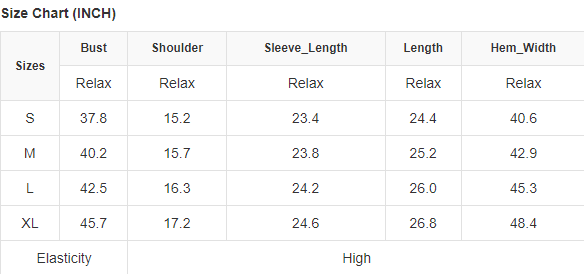 Textured Round Neck Puff Sleeve Top