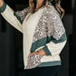Colorblock Patchwork Dolman Sleeve Plus Size Top