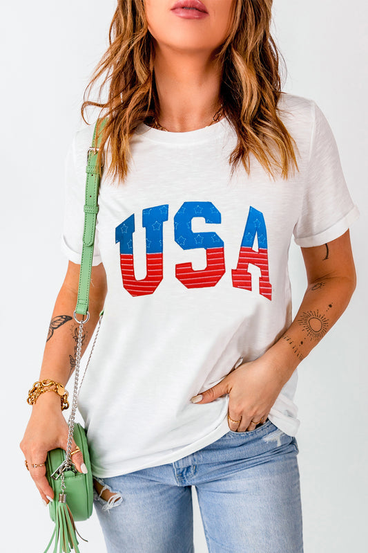 USA Star and Striped Embroidered Crewneck Graphic Tee