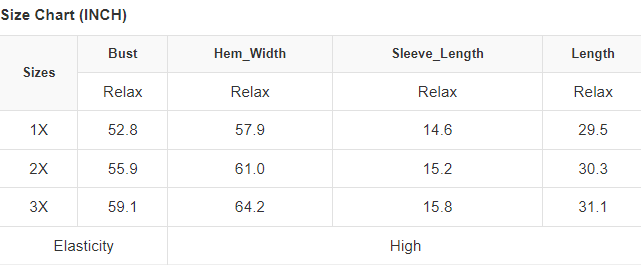 Leopard Print V Neck Plus Size Tee