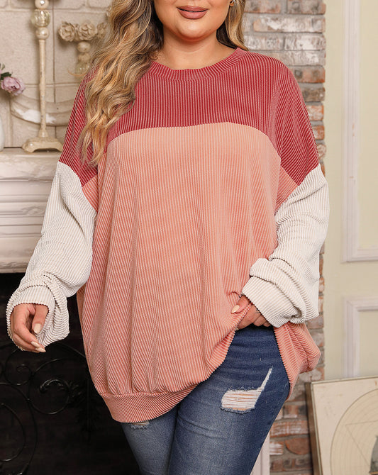 Plus Size Ribbed Colorblock Long Sleeve Top