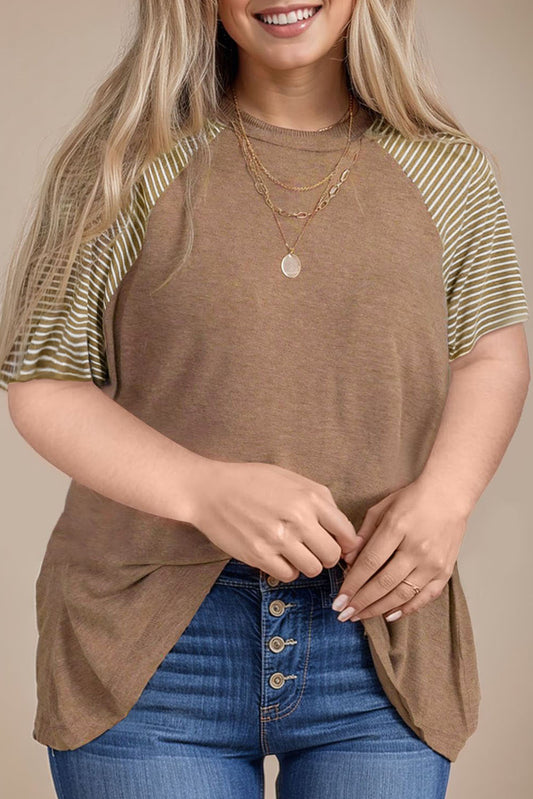 Striped Raglan Sleeve Crewneck Plus Size T Shirt