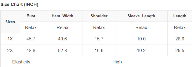 V Neck Plus Size Eyelet Embroidered Top