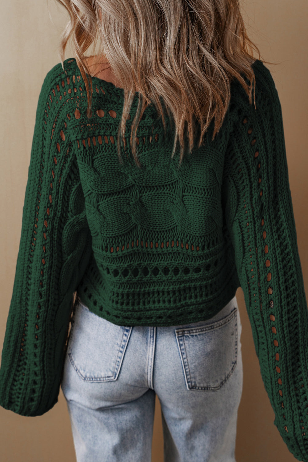 Hollow-out Cable Knit Cropped Sweater