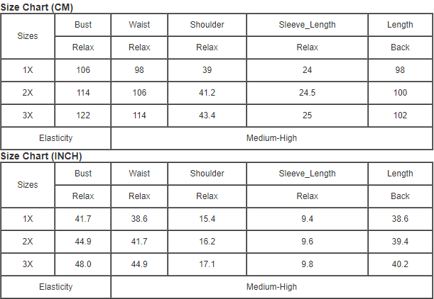 Black Plus Size Collared Mesh Yoke Fit Flare Dress