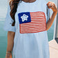 American Flag Graphic Drop Shoulder T-shirt