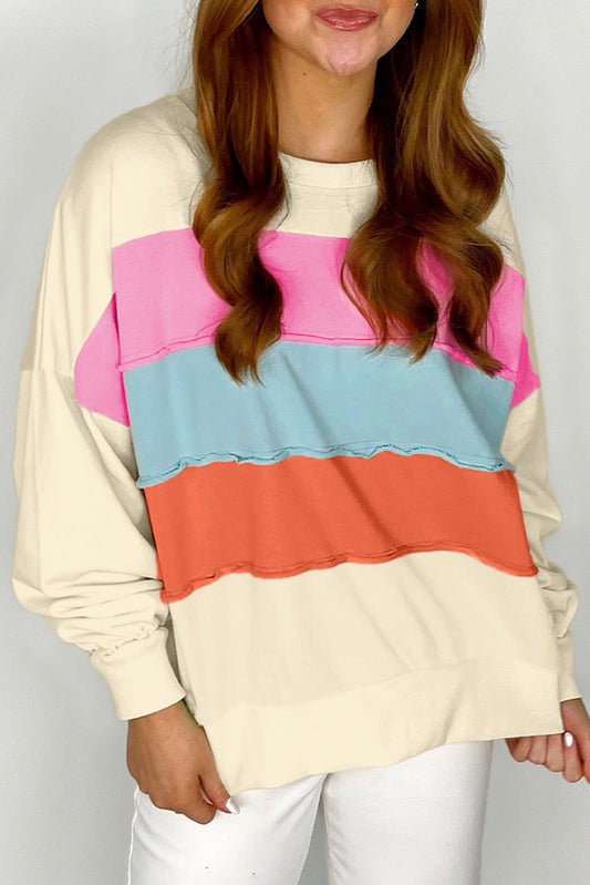 Colorblock Patchwork Crewneck Drop Shoulder Sweatshirt