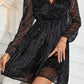 Glitter Mesh Overlay V Neck Long Sleeve Dress