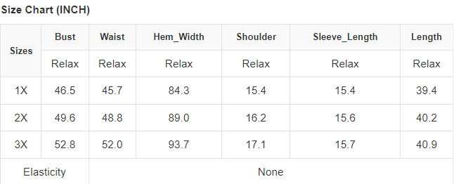 Plus Size Half Puff Sleeve Swing Dress