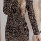 Sequin Crew Neck Long Sleeve Bodycon Dress