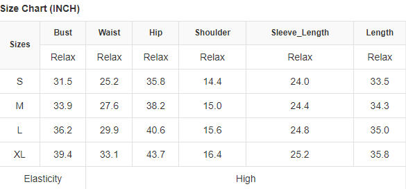 Textured Knit V-Neck Bishop Sleeve Sweater Dress