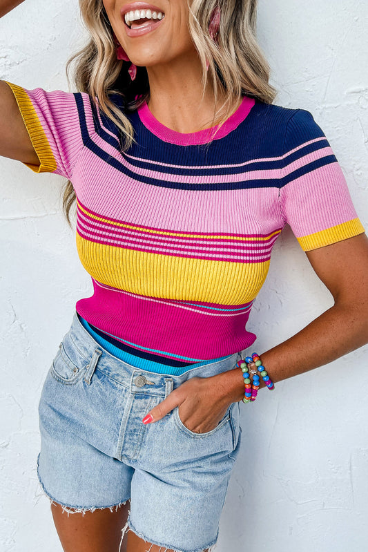 Mixed Stripes Ribbed Knit Top