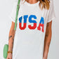 USA Star and Striped Embroidered Crewneck Graphic Tee