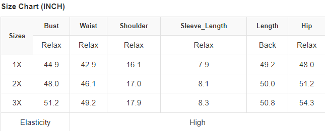 Leopard Color Block V Neck Plus Size Long Dress