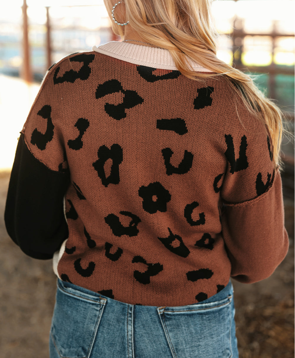 Leopard Print Colorblock Pullover Sweater