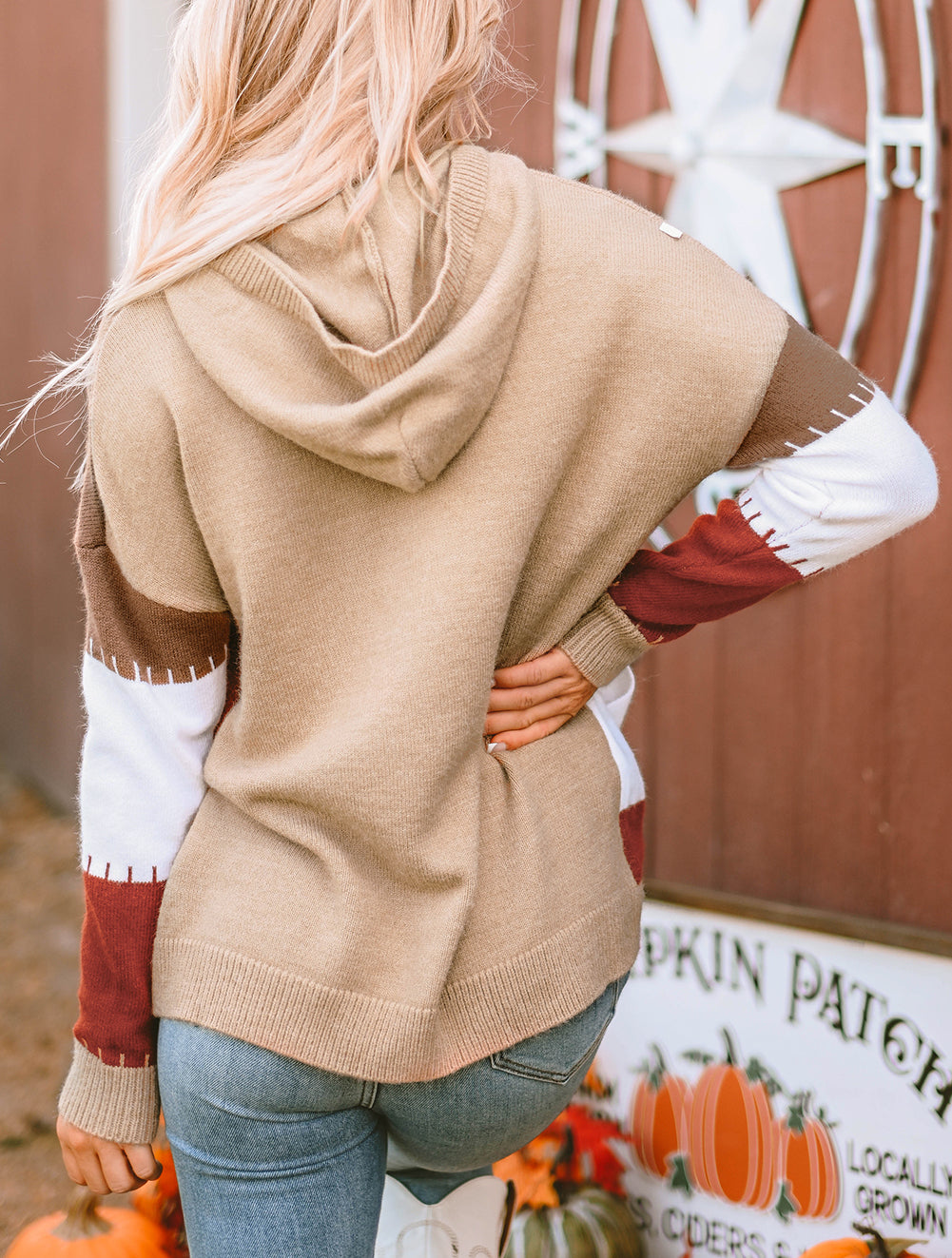 Color Block Kangaroo Pocket Hooded Sweater