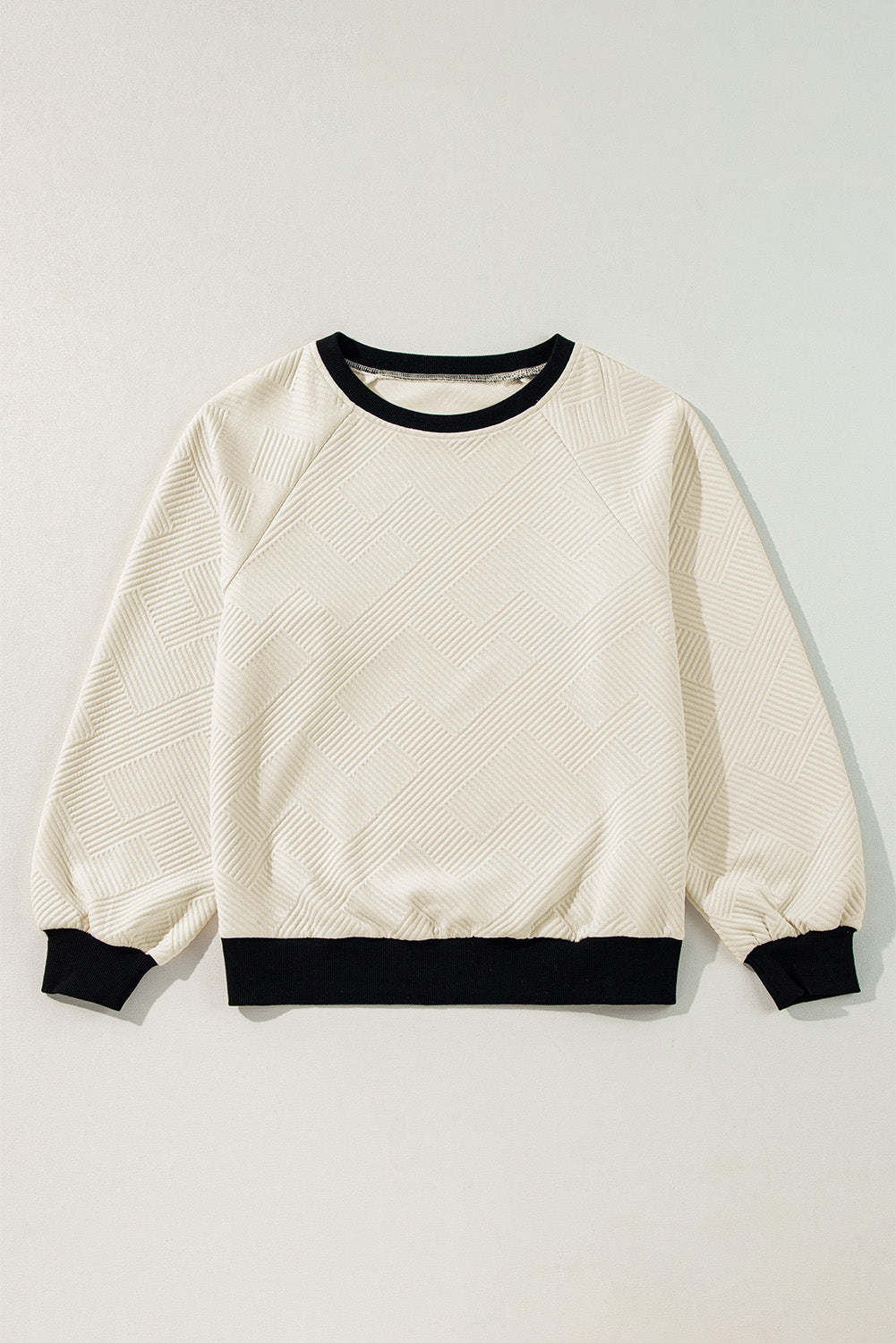 Color Block Edge Raglan Sleeve Crew Neck Textured Top