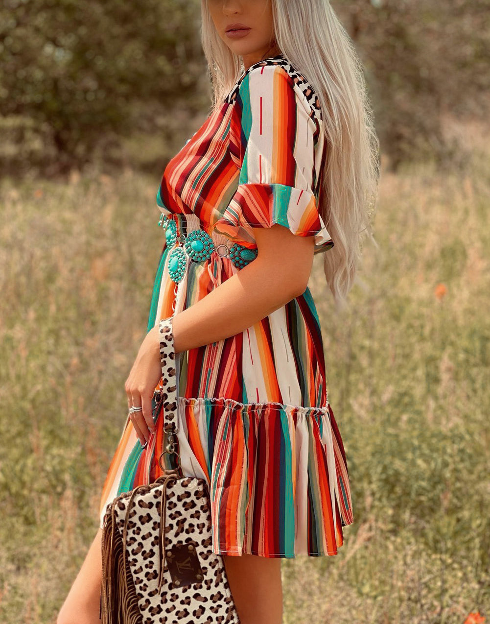 Serape Striped Leopard Mini Dress