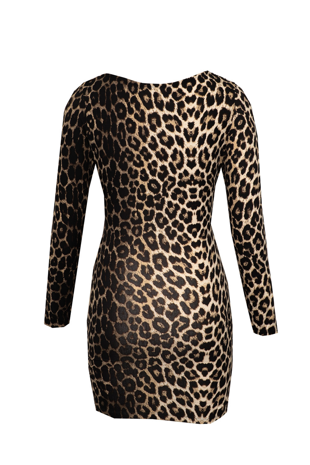 Print V Neck Long Sleeve Bodycon Mini Dress