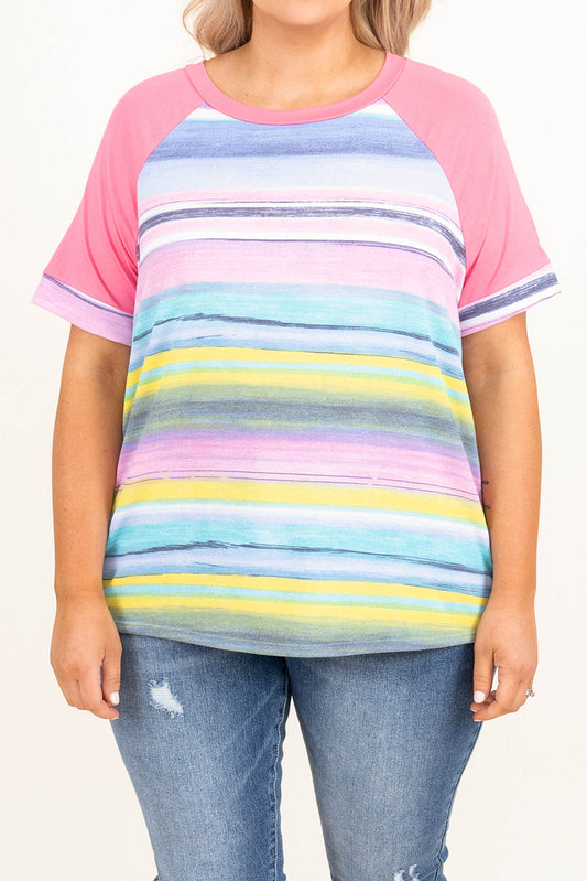 Striped Plus Size Raglan Sleeve Top
