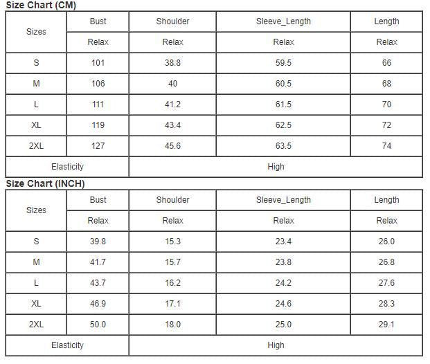 Solid Color Lace Frilled Trims Long Sleeve Shirt