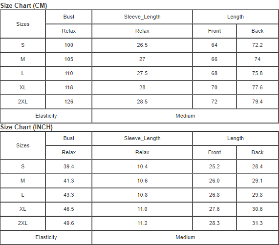 V Neck Eyelet Short Sleeve Pleated Blouse