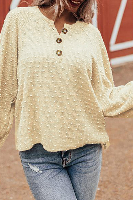 Swiss Dot Raglan Sleeves Knit Top