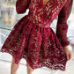 V Neck Lace Skater Mini Dress
